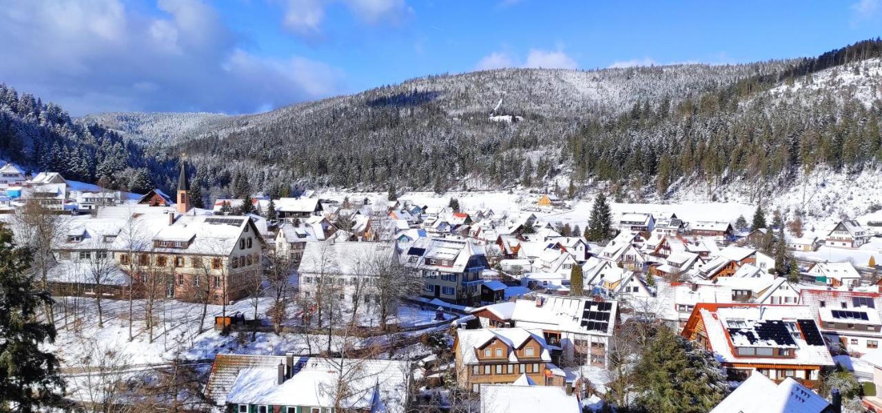 Ferienwohnung Tannenballett im Schwarzwald Baiersbronn Exterior foto