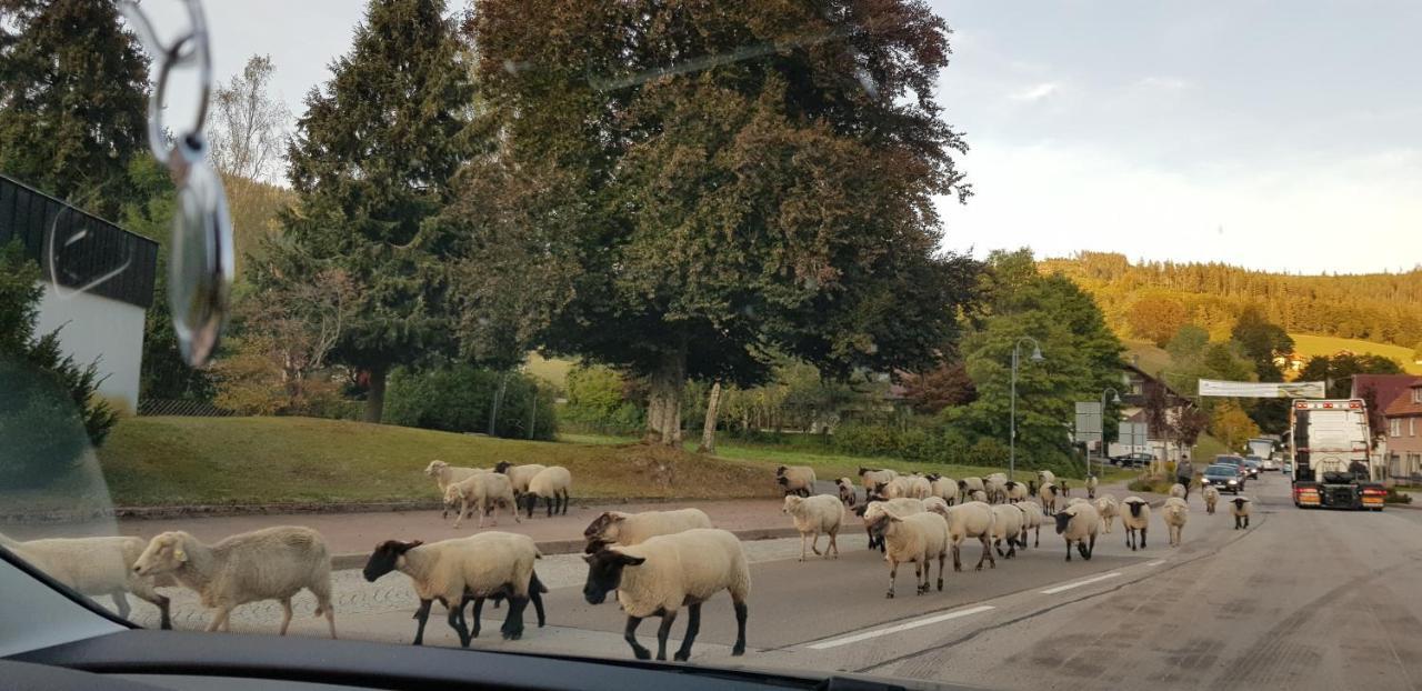Ferienwohnung Tannenballett im Schwarzwald Baiersbronn Exterior foto