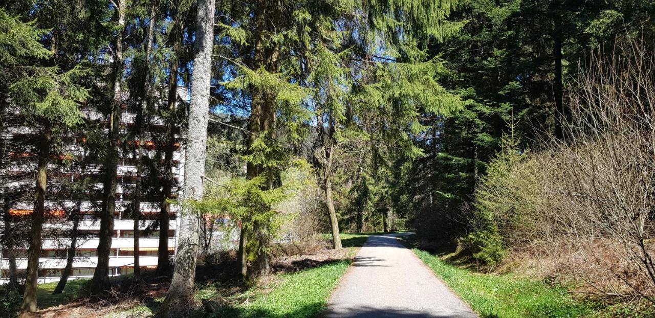 Ferienwohnung Tannenballett im Schwarzwald Baiersbronn Exterior foto