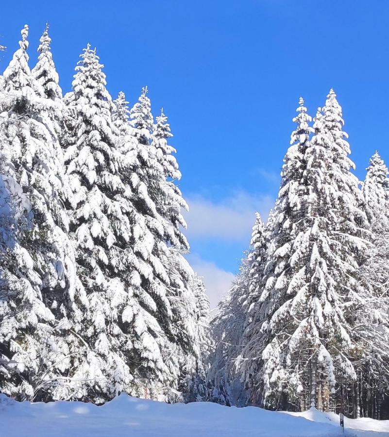 Ferienwohnung Tannenballett im Schwarzwald Baiersbronn Exterior foto