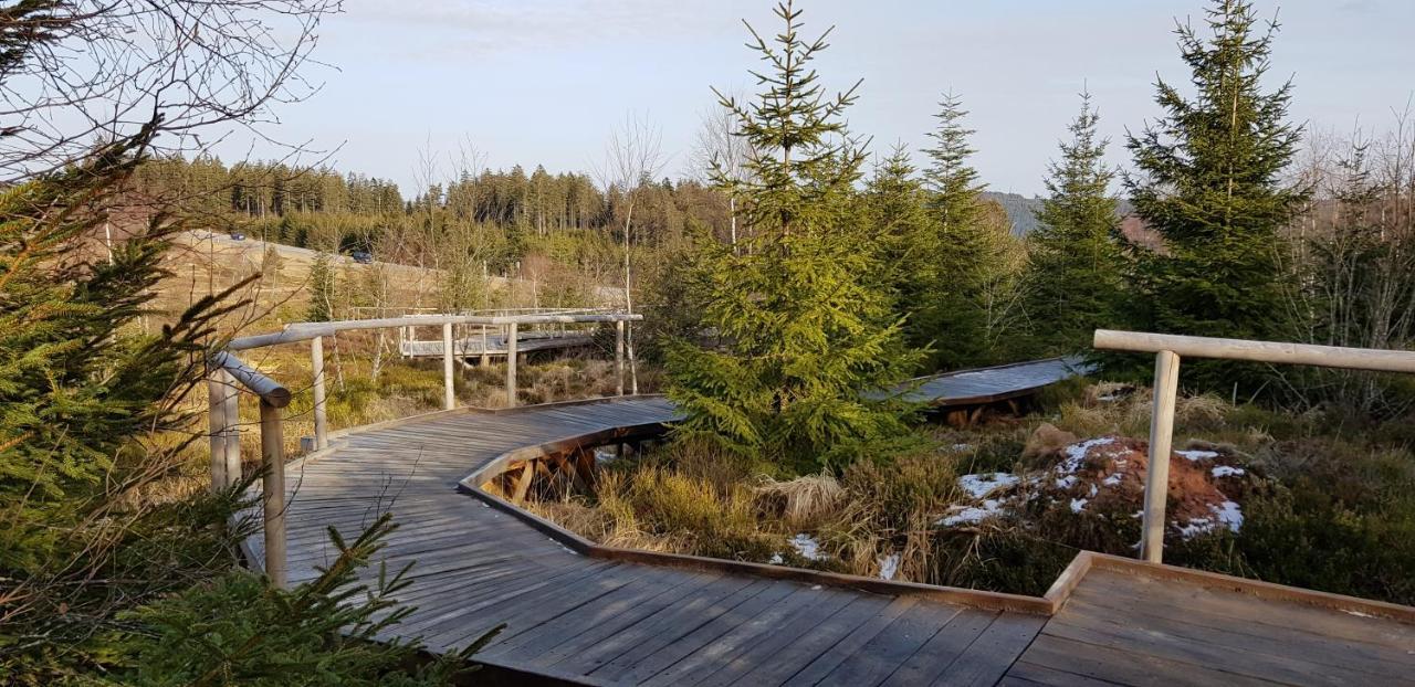 Ferienwohnung Tannenballett im Schwarzwald Baiersbronn Exterior foto