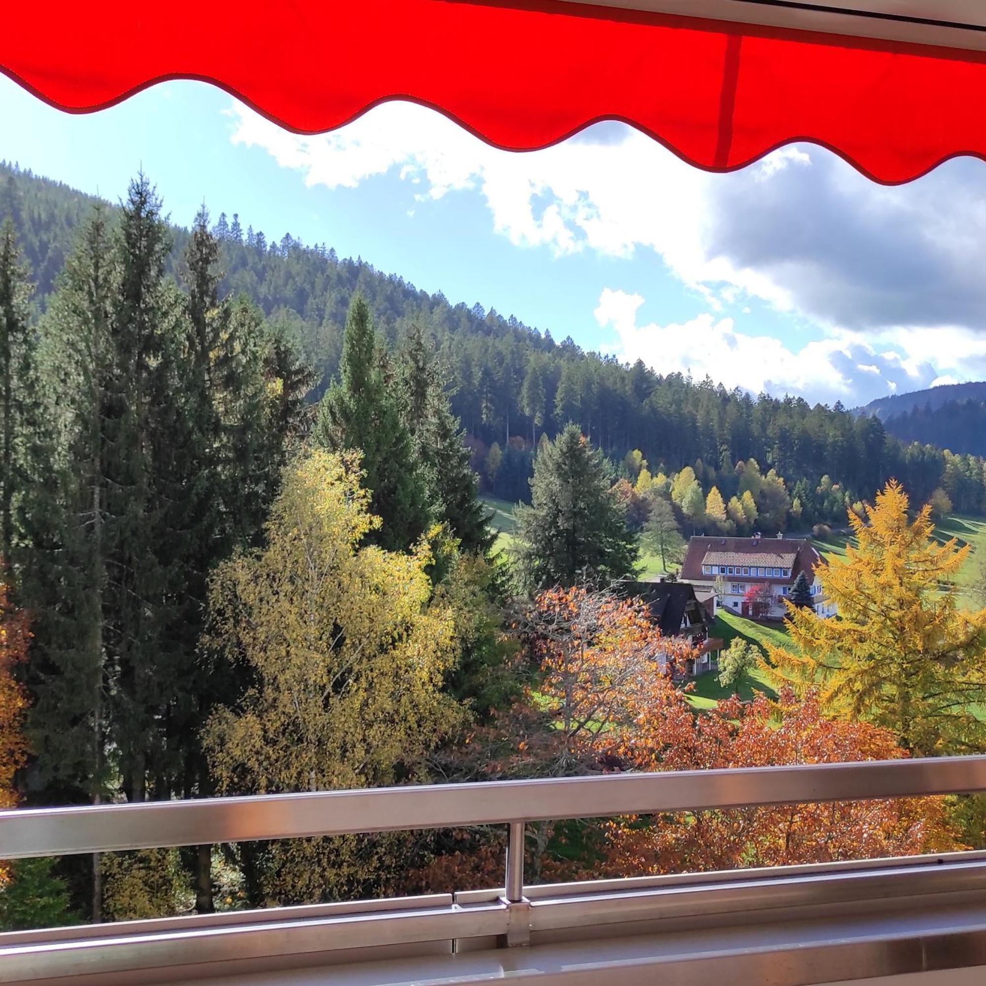 Ferienwohnung Tannenballett im Schwarzwald Baiersbronn Exterior foto